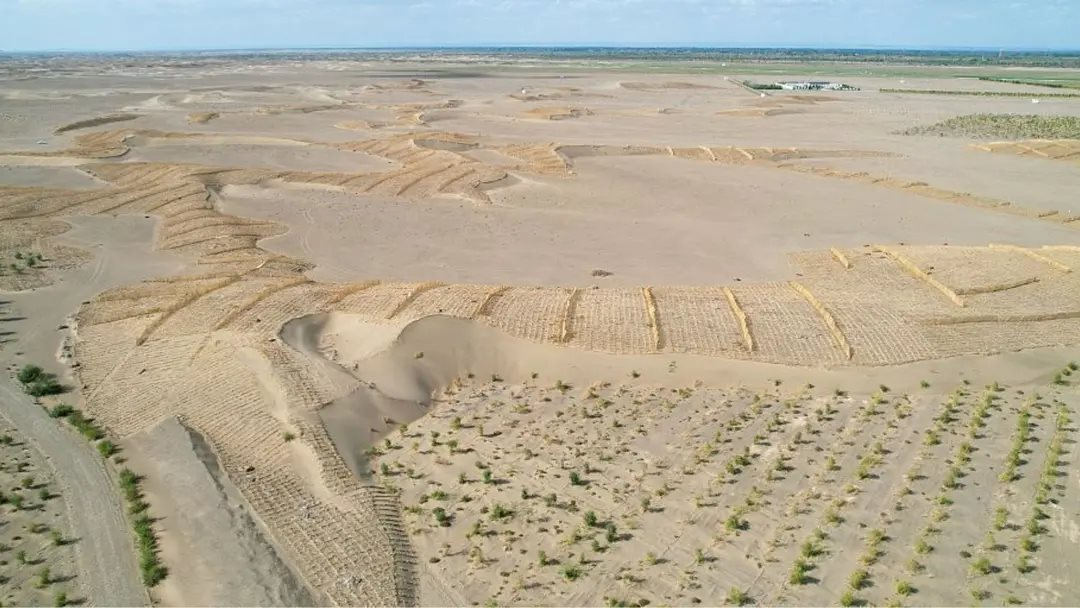 Phát minh chưa từng có trên thế giới của Trung Quốc: Không cần trồng cây vẫn phục hồi hàng nghìn hecta sa mạc, hiệu quả cao nhưng chi phí thấp - Ảnh 1