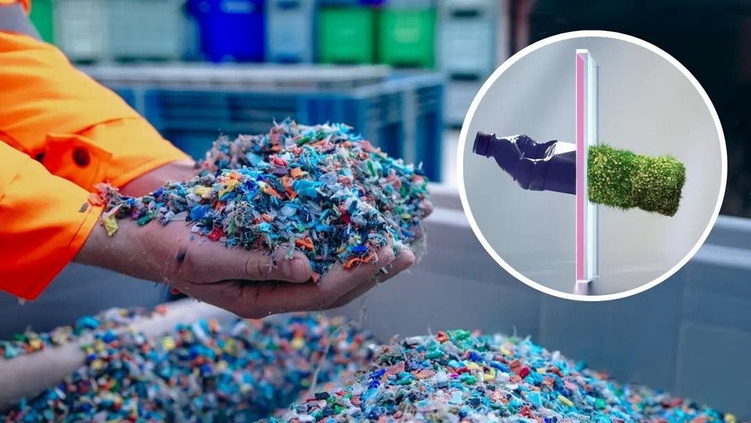 Phát minh làm thay đổi thế giới của người Đức: Biến rơm rạ, bã mía thành nhựa sinh học - sẽ là 'cứu tinh' cho 150 triệu tấn phụ phẩm nông nghiệp mỗi năm của Việt Nam? - Ảnh 1