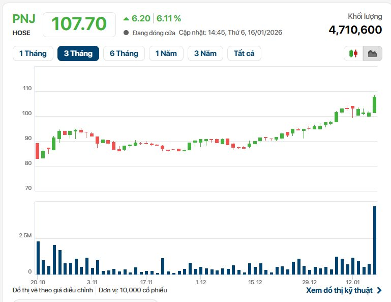 Công ty con của Vàng bạc Đá quý Phú Nhuận (PNJ) bị xử phạt, hồ sơ bị chuyển cơ quan liên ngành - Ảnh 1