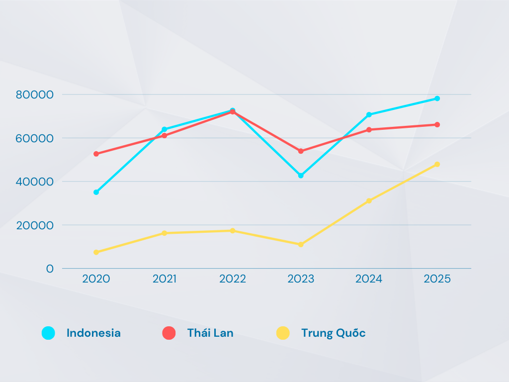 Kỷ lục hơn 200.000 xe nhập khẩu: Trung Quốc vượt mặt Thái Lan, Indonesia, thu về 1,6 tỷ USD từ việc bán xe sang Việt Nam - Ảnh 3