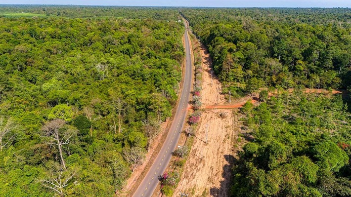 “Anh cả” siêu dự án đại lộ ven sông Hồng 855.000 tỷ đồng được chấp thuận là nhà đầu tư đề xuất tuyến đường xuyên rừng 13km tại Đồng Nai - Ảnh 1