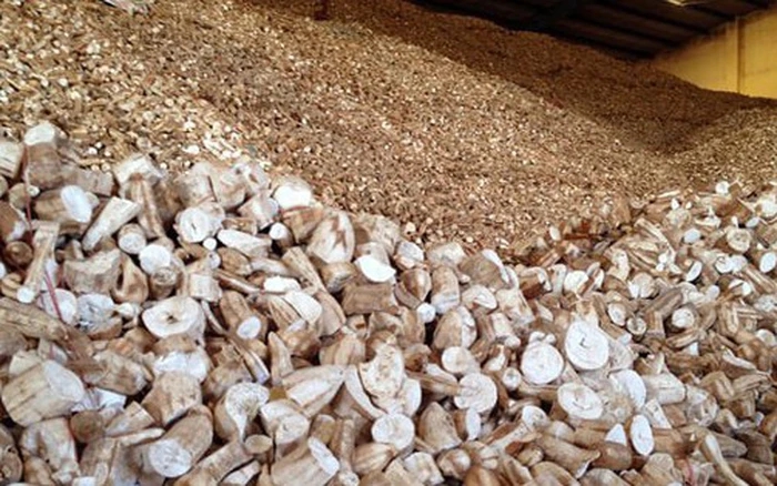 Sản vật được ví như "vàng trắng" dưới lòng đất hơn tỷ USD của Việt Nam xuất khẩu top 3 thế giới đang gặp khó - Ảnh 2