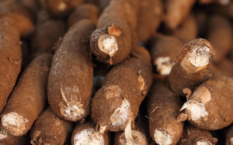 Sản vật được ví như "vàng trắng" dưới lòng đất hơn tỷ USD của Việt Nam xuất khẩu top 3 thế giới đang gặp khó - Ảnh 1