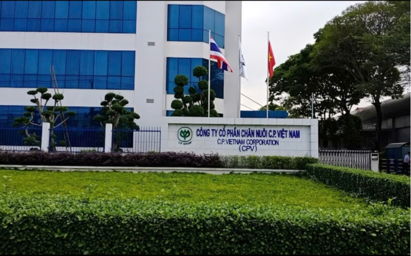 Thanh tra ba 'ông lớn' cung cấp thịt sạch, thức ăn chăn nuôi - Ảnh 1