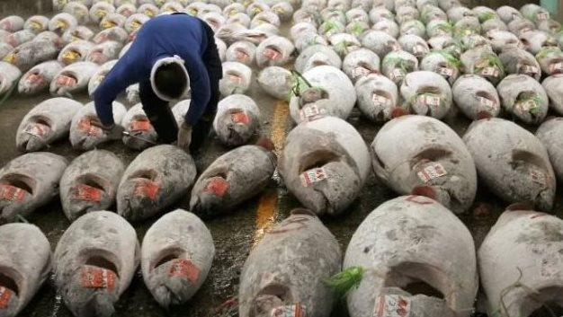 Không phải sầu riêng, một ‘siêu thực phẩm’ của Việt Nam được Mỹ và châu Âu cực ưa chuộng: Thu về 924 triệu USD, nước ta xuất khẩu đứng top thế giới - Ảnh 1