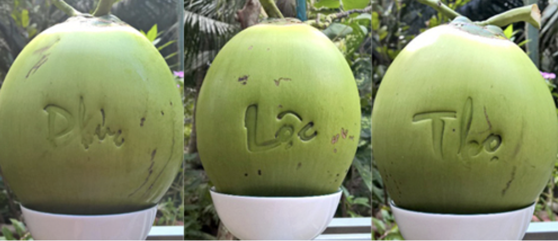 Thị trường Tết không còn mặn mà với trái cây "độc, lạ"? - Ảnh 1