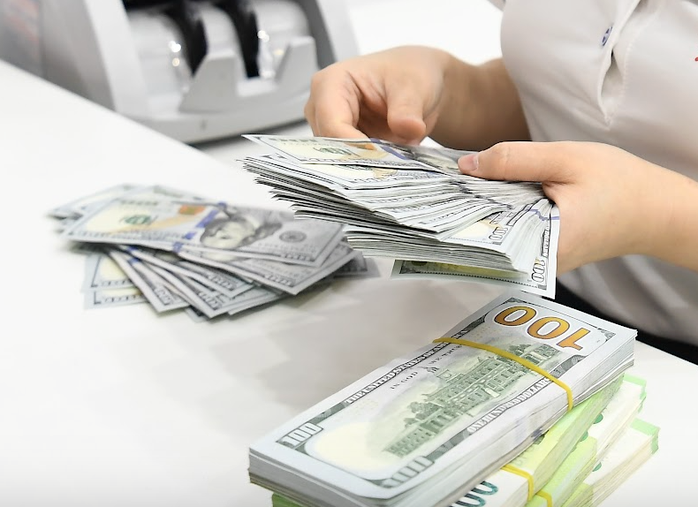 Dự báo mới nhất về giá USD tại Việt Nam năm 2026 - Ảnh 1