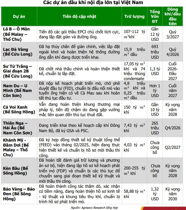 Loạt dự án tỷ USD bước vào giai đoạn triển khai đồng bộ, doanh nghiệp dầu khí nào sẵn sàng "đón sóng"? - Ảnh 1