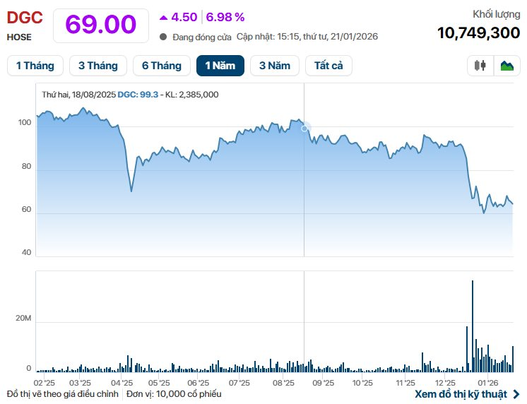 Cổ phiếu Hóa chất Đức Giang "có biến" - Ảnh 1