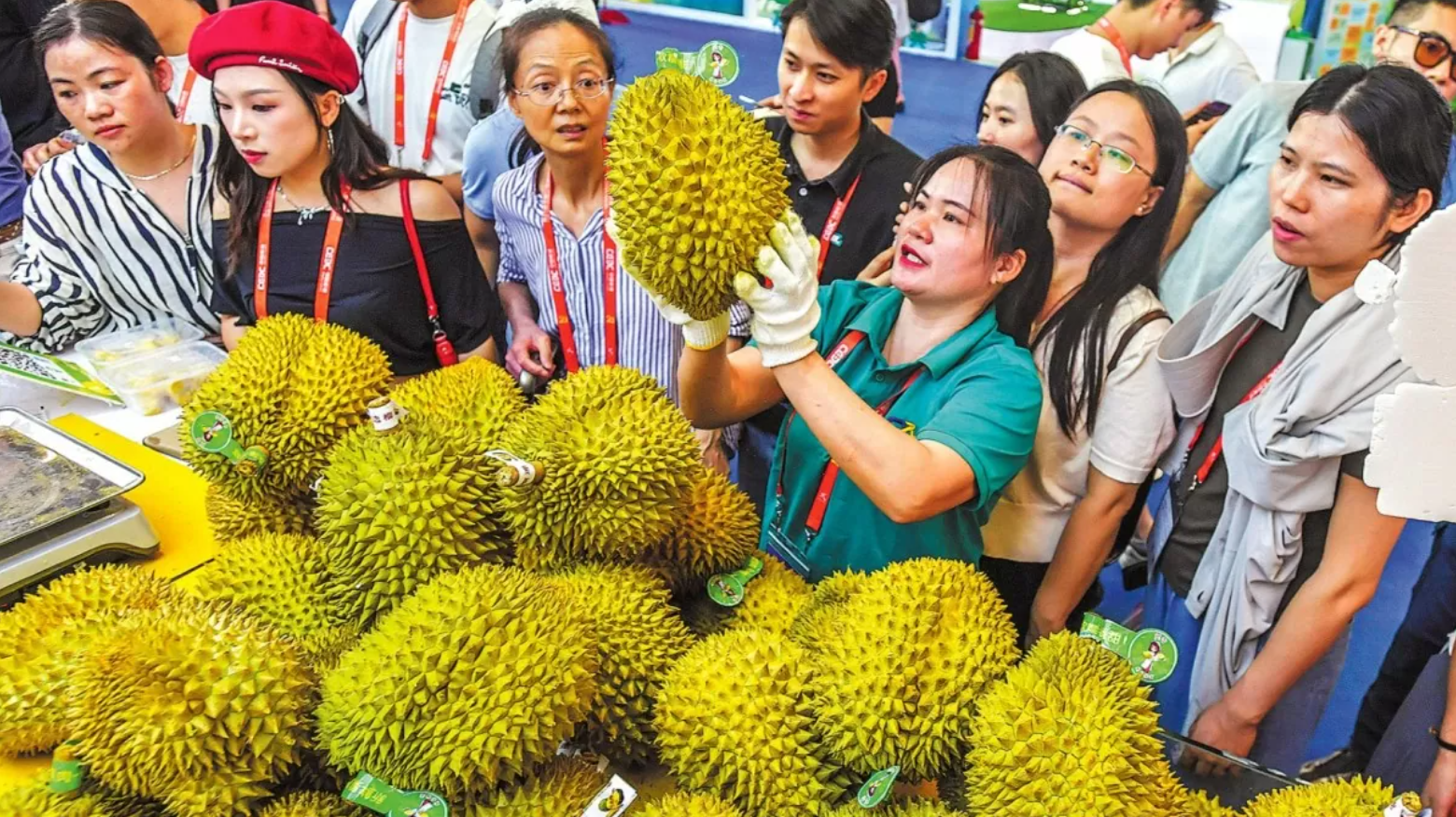 Một sản vật Việt Nam 'thắng lớn' ở Trung Quốc: Chuyên gia chỉ rõ lợi thế giúp vượt mặt Thái Lan - Ảnh 1