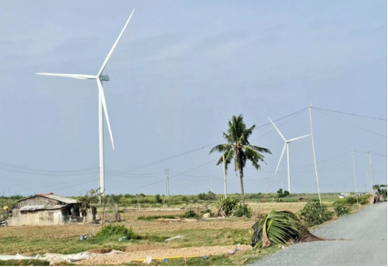 Nhiều doanh nghiệp muốn đầu tư hàng loạt dự án điện gió ở Cần Thơ - Ảnh 1