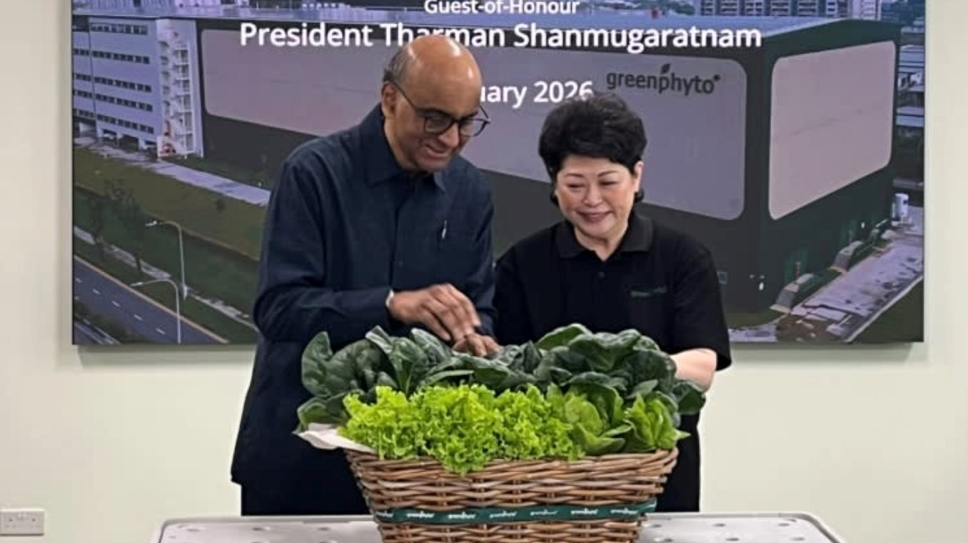 Kỳ tích của 1 'trùm nông nghiệp' ĐNÁ: Xây trang trại trong nhà cao nhất thế giới, công suất 2.000 tấn rau/năm, robot tự gieo hạt, chỉnh nhiệt - Ảnh 3