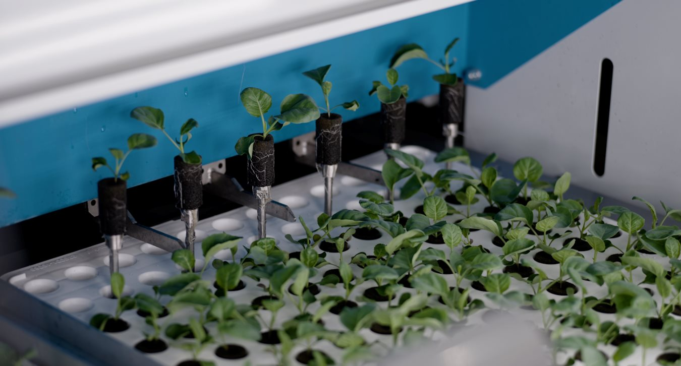 Kỳ tích của 1 'trùm nông nghiệp' ĐNÁ: Xây trang trại trong nhà cao nhất thế giới, công suất 2.000 tấn rau/năm, robot tự gieo hạt, chỉnh nhiệt - Ảnh 2