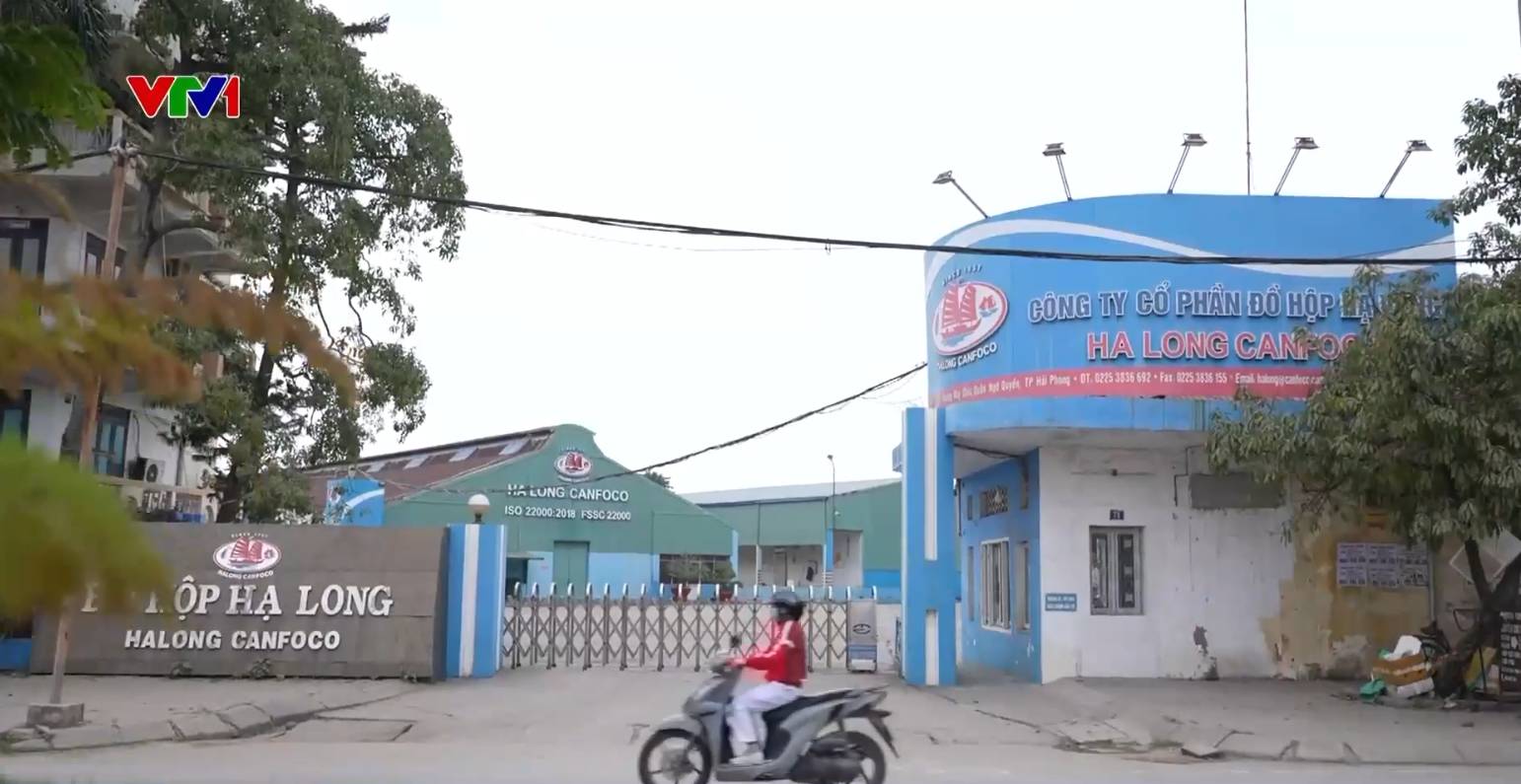 Cận cảnh kho hàng chứa 120 tấn thịt lợn bệnh bốc mùi của Công ty CP Đồ hộp Hạ Long - Ảnh 10