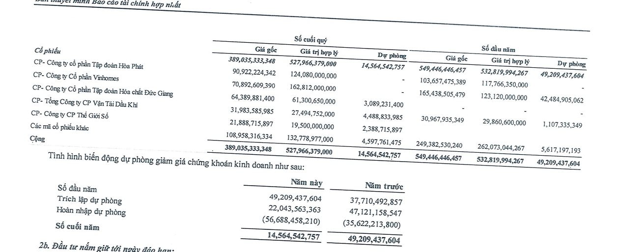 Đổ tiền vào Vinhomes và Hoà Phát, đại gia Đà Nẵng lãi từ cổ phiếu gấp 16 lần đi bán nhà - Ảnh 2