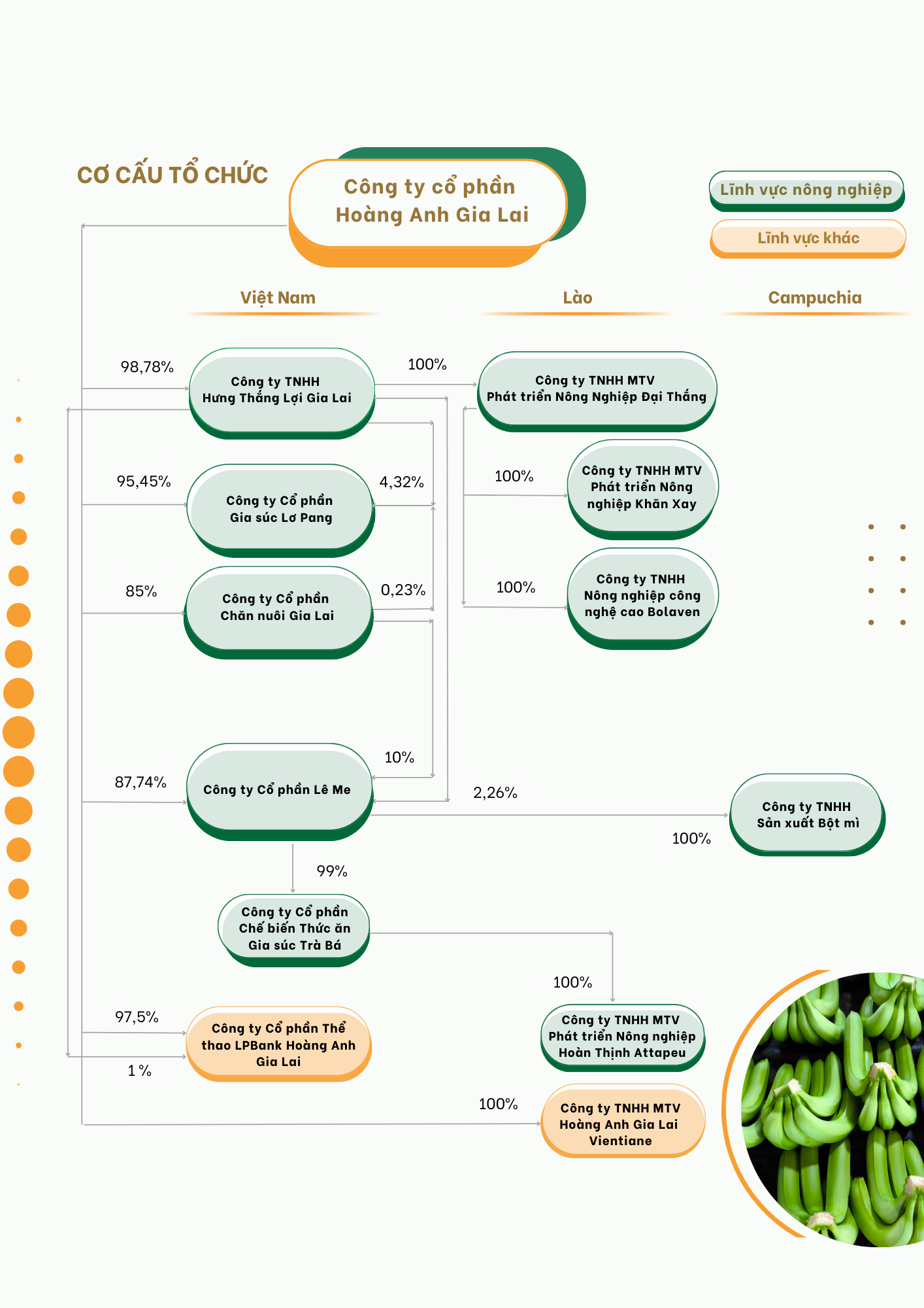Bầu Đức treo thưởng 3 tỷ đồng nếu U23 Việt Nam thắng U23 Hàn Quốc - Ảnh 3