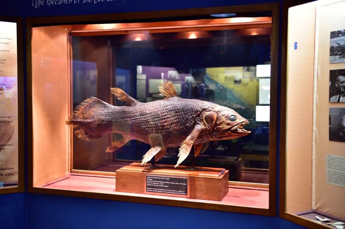 Làm thế nào để hồi sinh một loài được cho là đã tuyệt chủng 66 triệu năm? - Ảnh 1