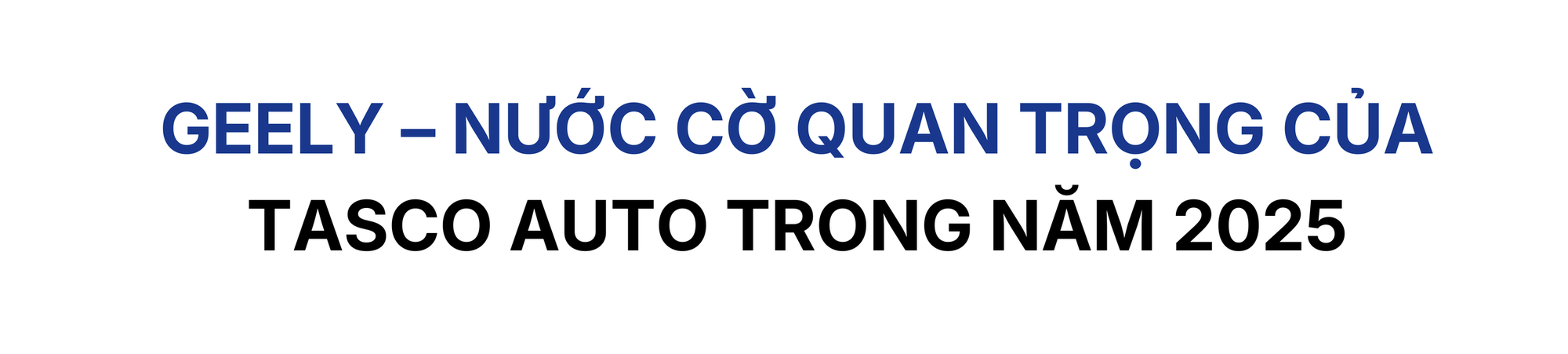 150 showroom, 70 xưởng dịch vụ trong năm 2025, Tasco Auto đang tính toán điều gì tiếp theo? - Ảnh 1