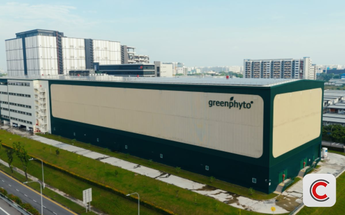 Kỳ tích của 1 'trùm nông nghiệp' ĐNÁ: Xây trang trại trong nhà cao nhất thế giới, công suất 2.000 tấn rau/năm, robot tự gieo hạt, chỉnh nhiệt - Ảnh 1