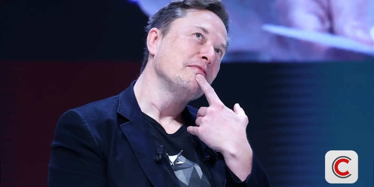 xAI của Elon Musk sẽ có lãi sớm hơn OpenAI? - Ảnh 1