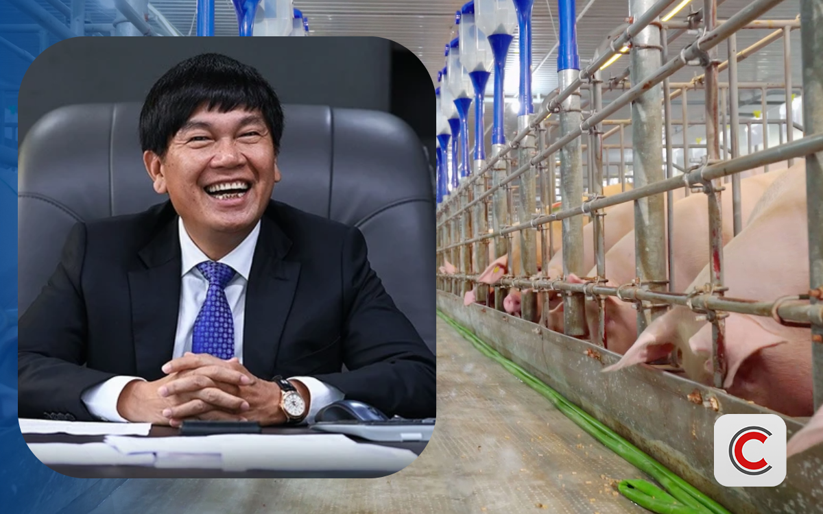 Đàn heo của tỷ phú Trần Đình Long xuất chuồng hơn 660.000 con năm 2025 - Ảnh 1