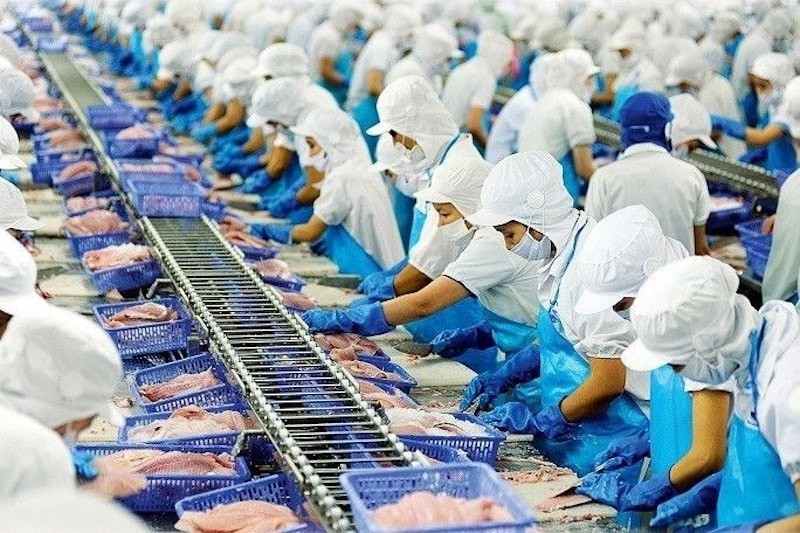 Lý do xuất khẩu thủy sản Việt Nam vượt 11 tỷ USD - Ảnh 1