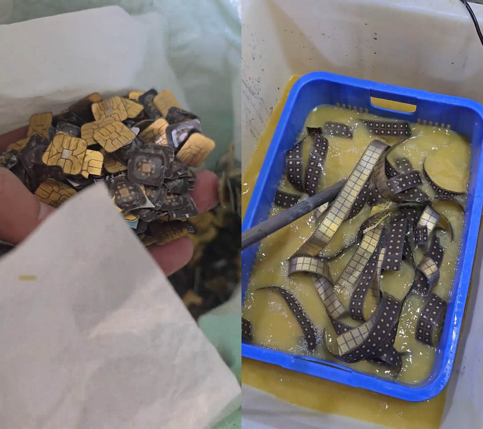 Chàng trai lấy được hơn 5 cây vàng từ thứ nhiều người bỏ đi - Ảnh 1