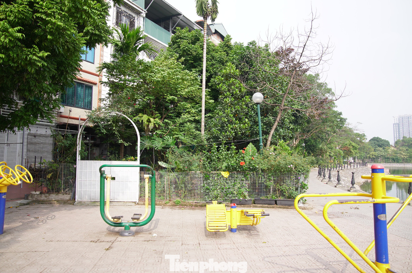 Công viên tại trung tâm Hà Nội bị hàng quán lấn chiếm, bãi cỏ thành nơi trồng rau - Ảnh 3