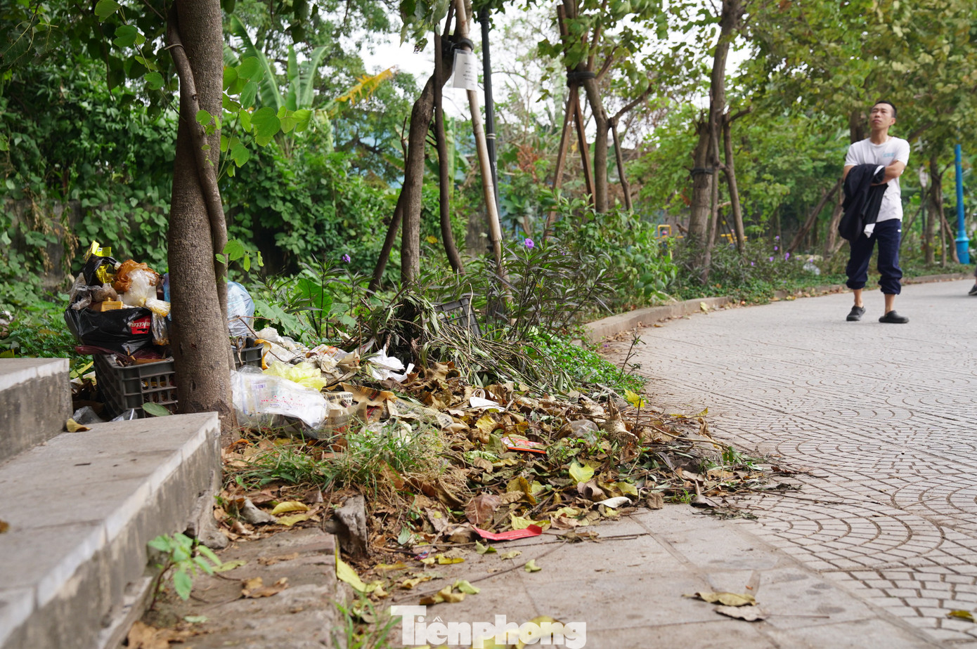 Công viên tại trung tâm Hà Nội bị hàng quán lấn chiếm, bãi cỏ thành nơi trồng rau - Ảnh 7