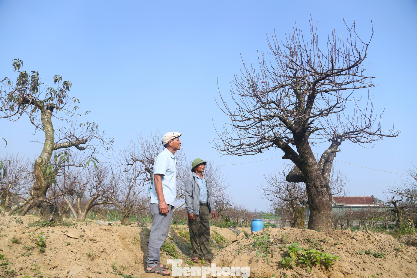 Nghề 'đánh cược' với ông trời - Ảnh 4