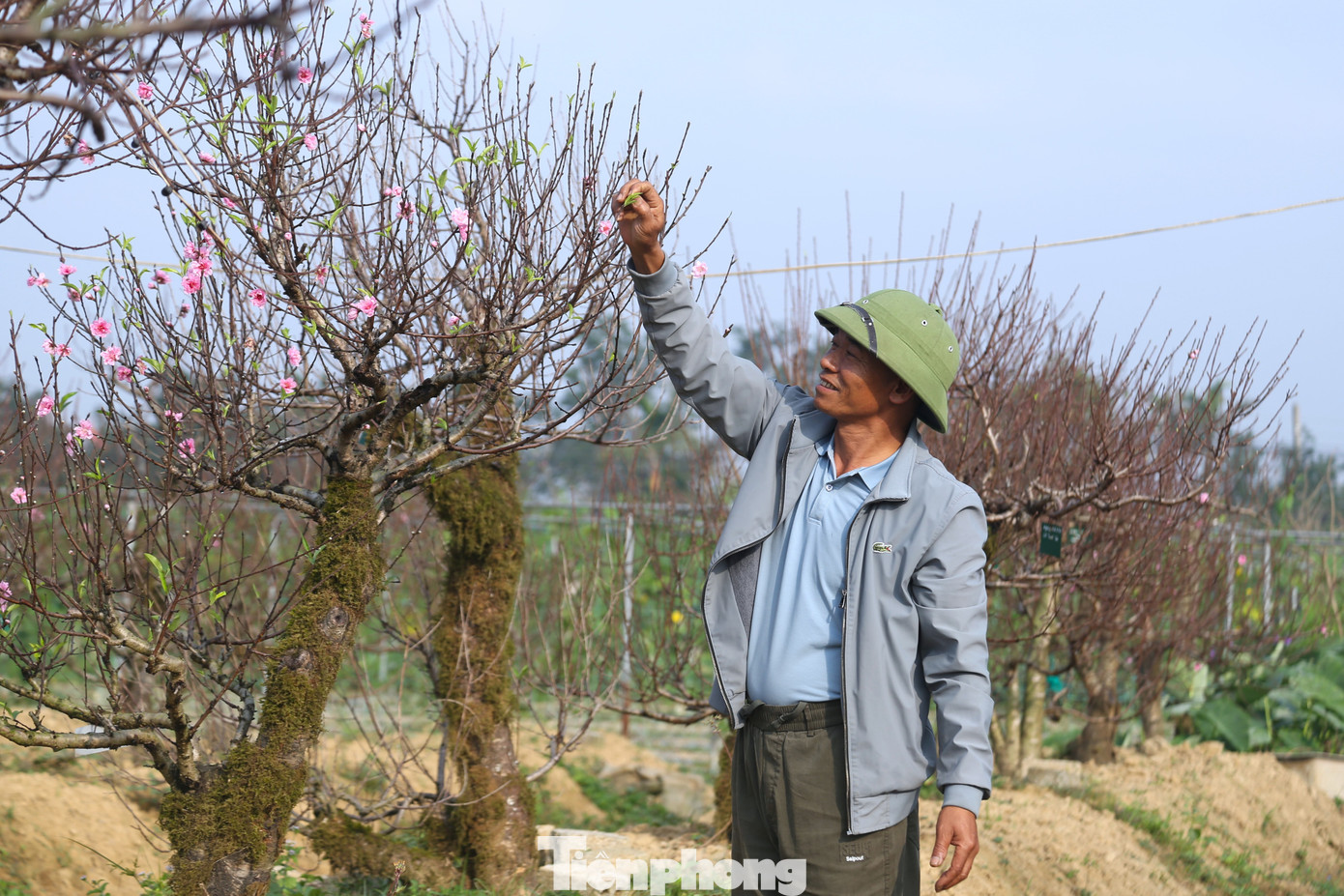 Nghề 'đánh cược' với ông trời - Ảnh 1