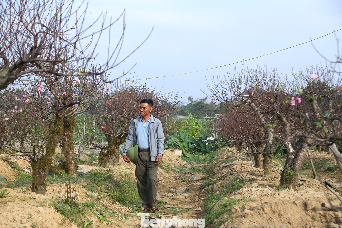 Nghề 'đánh cược' với ông trời - Ảnh 11