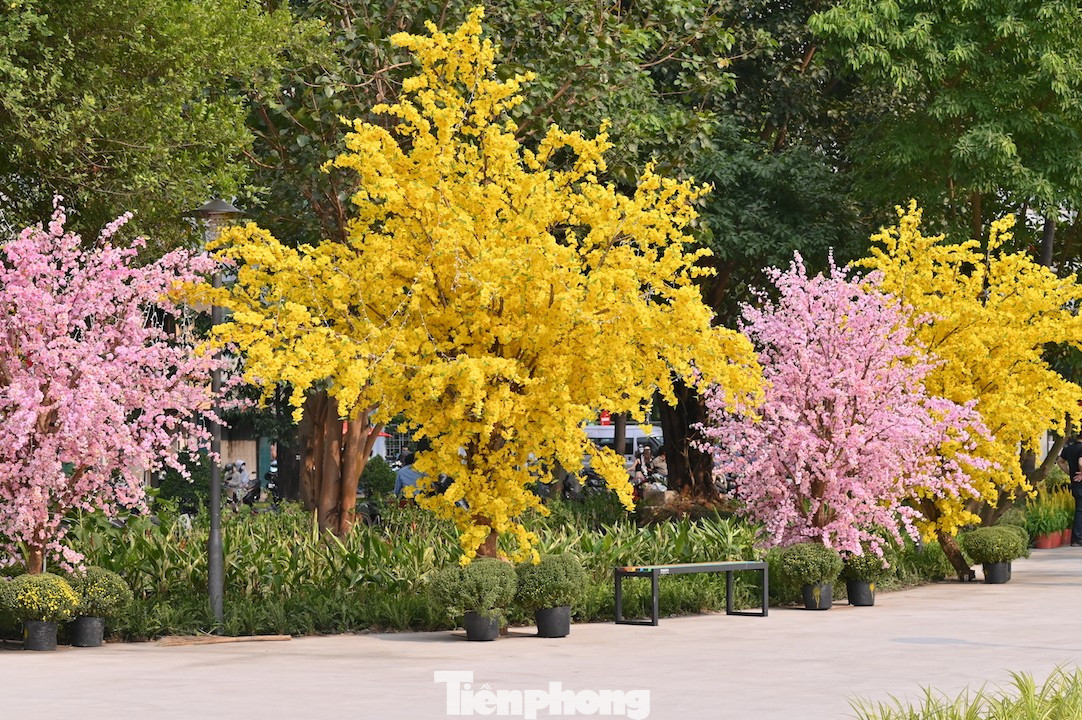 Tận thấy công viên đầu tiên được xây trên 'đất vàng' bỏ hoang ở TPHCM - Ảnh 11