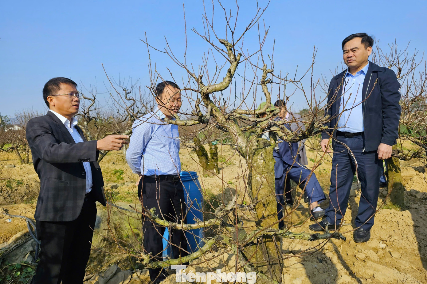 Nghề 'đánh cược' với ông trời - Ảnh 12