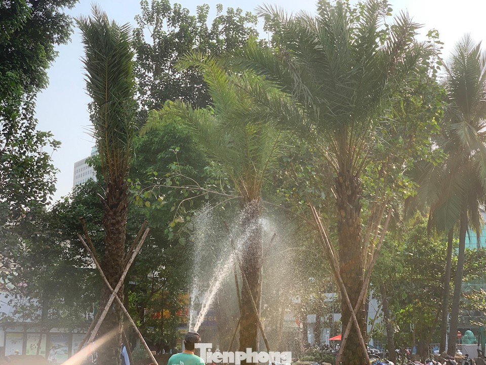 Tận thấy công viên đầu tiên được xây trên 'đất vàng' bỏ hoang ở TPHCM - Ảnh 10