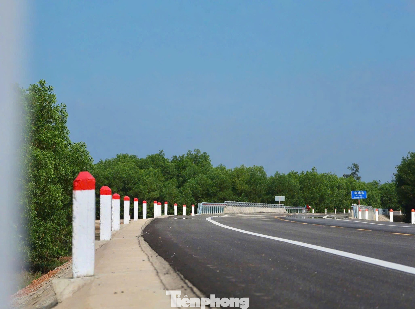 Ngắm cung đường ven biển băng qua rừng dương, cồn cát đẹp bậc nhất Quảng Ngãi - Ảnh 9