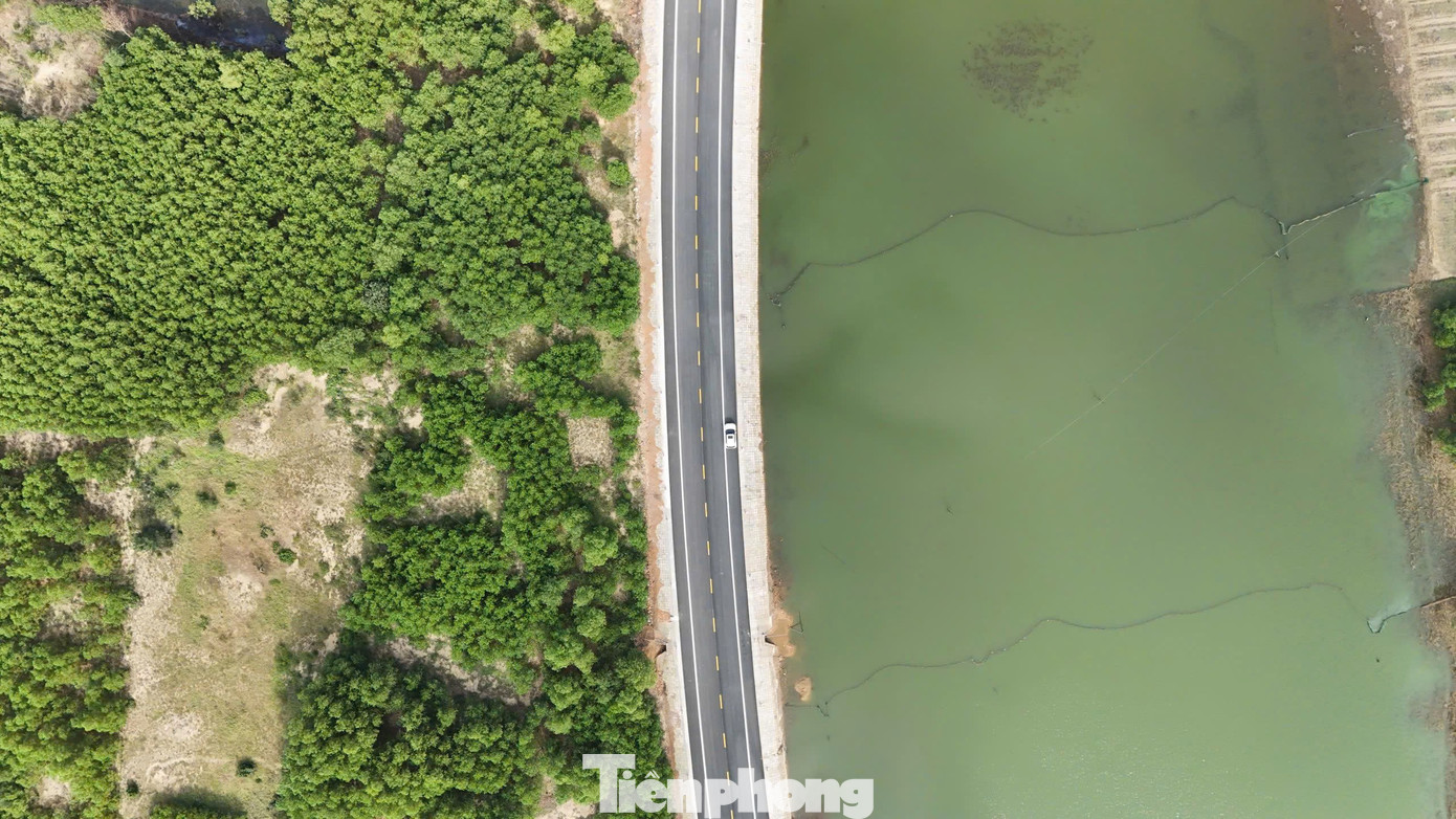 Ngắm cung đường ven biển băng qua rừng dương, cồn cát đẹp bậc nhất Quảng Ngãi - Ảnh 15