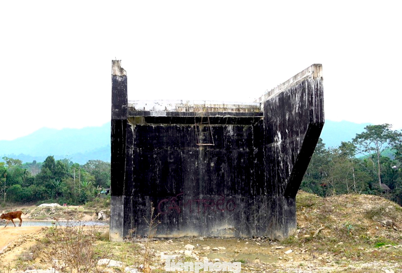 Cầu tiền tỷ xây xong rồi bỏ hoang - Ảnh 4