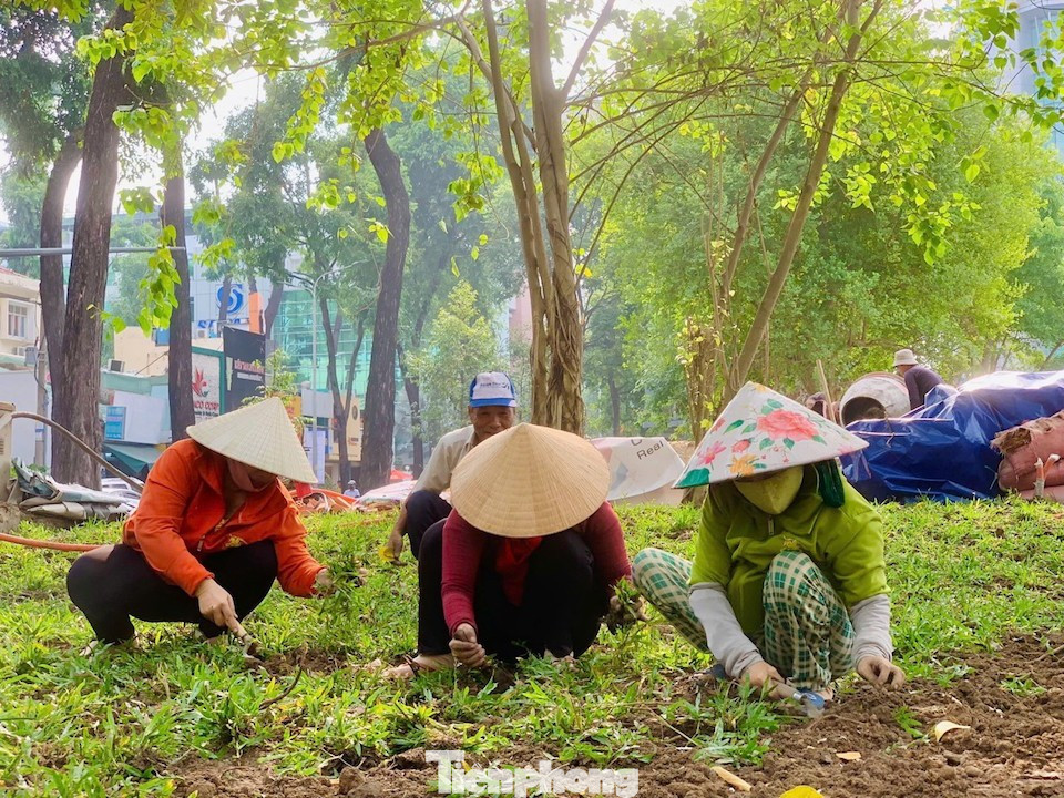 Tận thấy công viên đầu tiên được xây trên 'đất vàng' bỏ hoang ở TPHCM - Ảnh 8