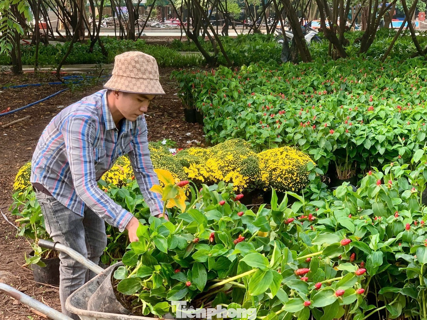 Tận thấy công viên đầu tiên được xây trên 'đất vàng' bỏ hoang ở TPHCM - Ảnh 9