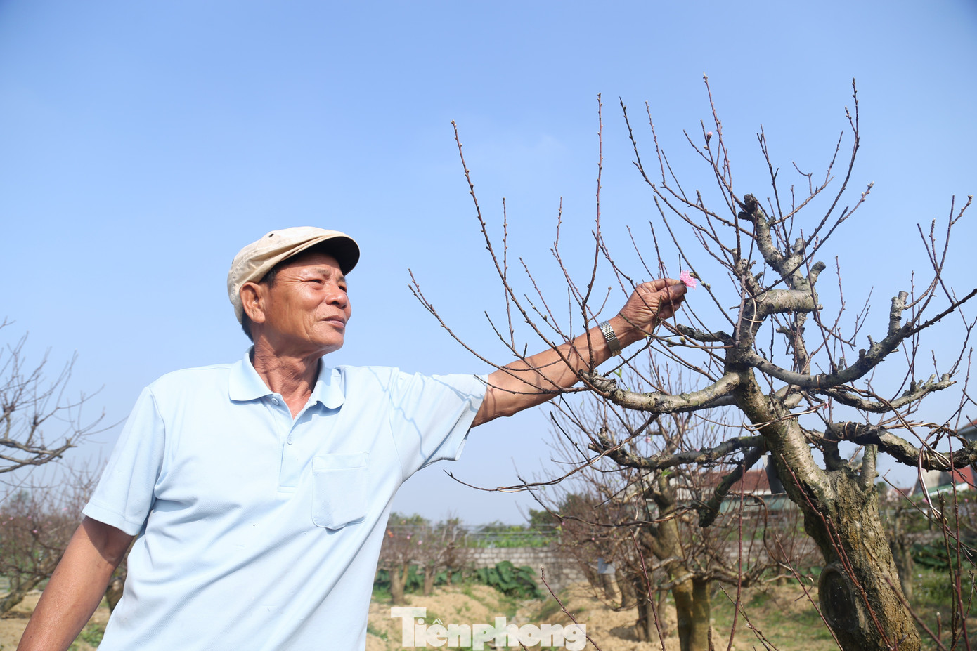 Nghề 'đánh cược' với ông trời - Ảnh 8