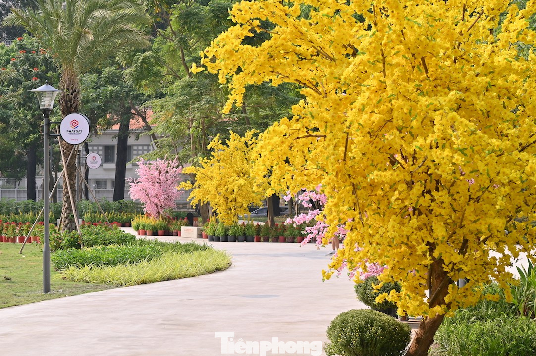 Tận thấy công viên đầu tiên được xây trên 'đất vàng' bỏ hoang ở TPHCM - Ảnh 5