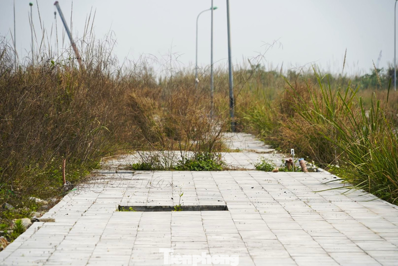 Dự án mắc kẹt hơn 20 năm, nhiều lô đất trùng - Ảnh 3