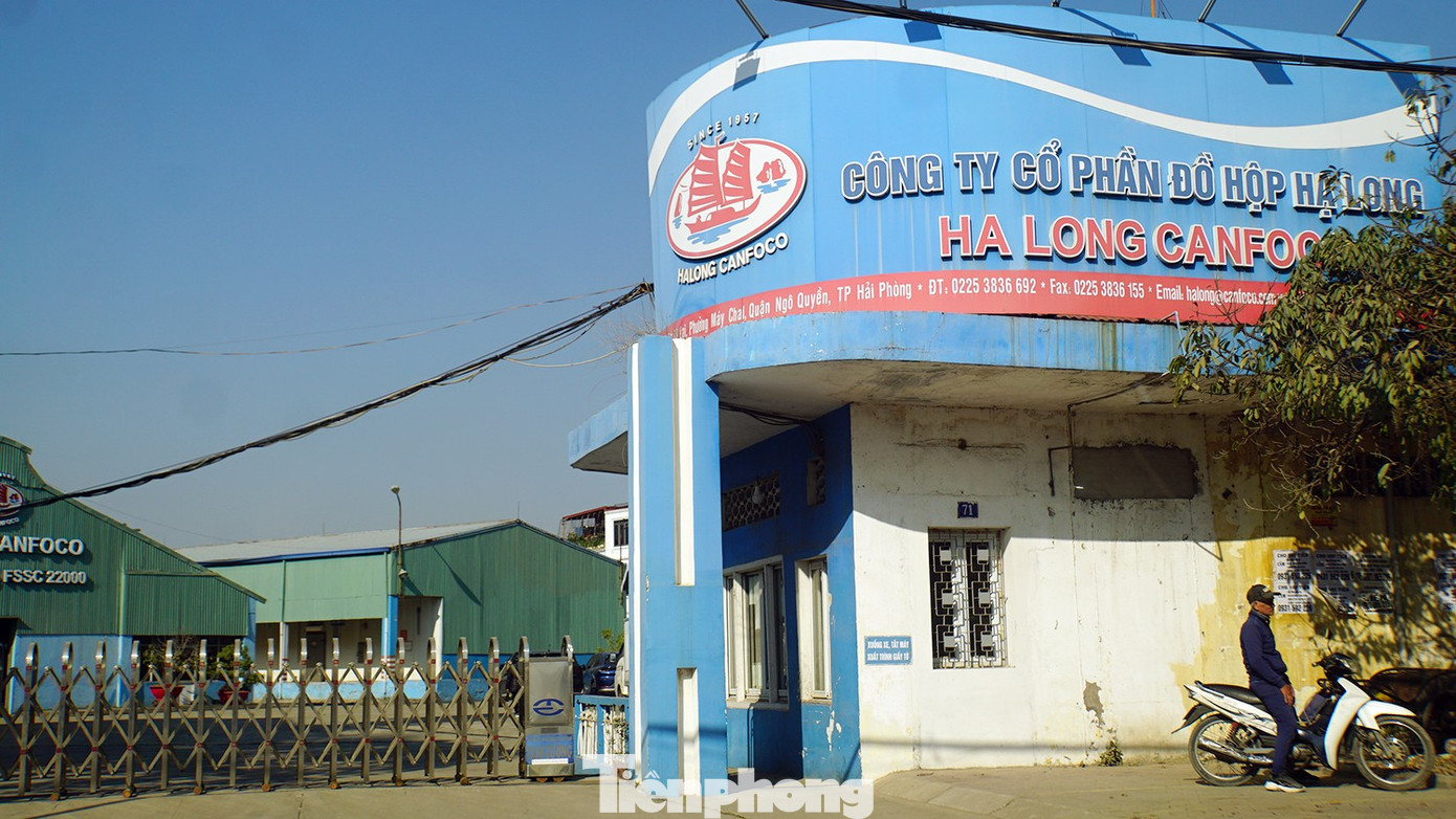 Công ty Đồ hộp Hạ Long bị 'tuýt còi' - Ảnh 1