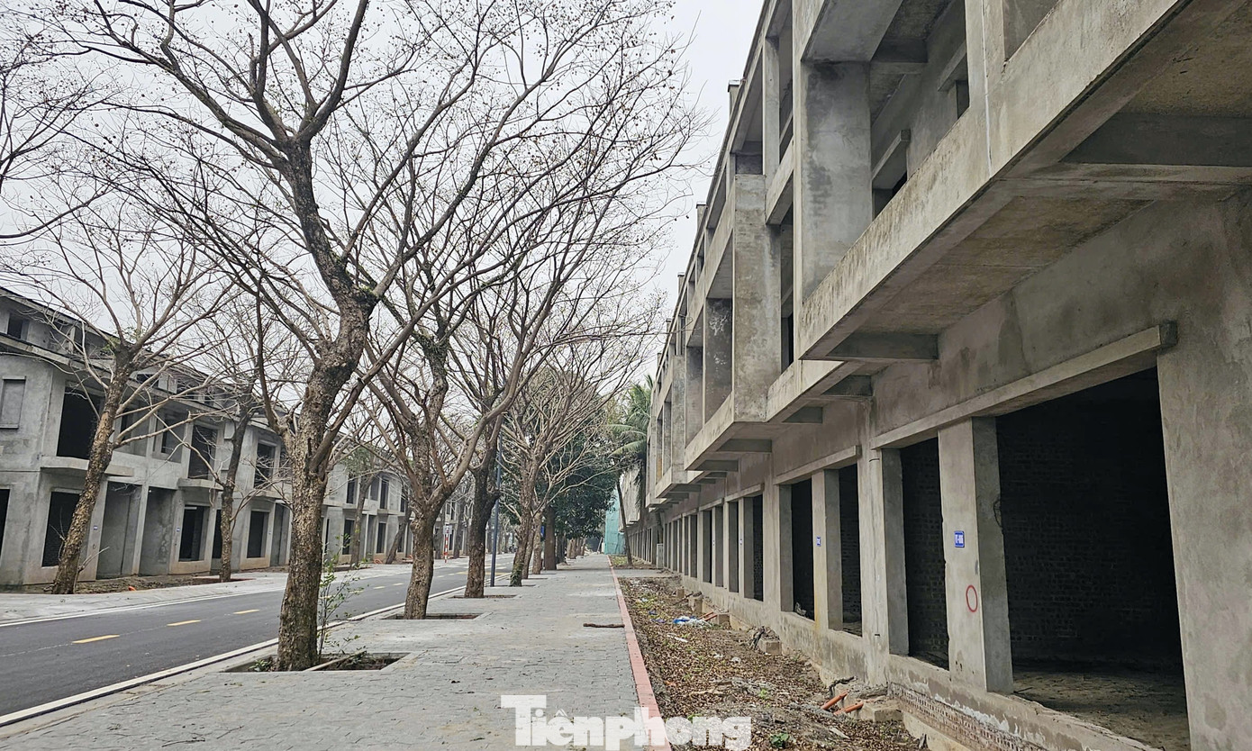 Cảnh bỏ hoang tại dự án biệt thự, liền kề từng ‘xây chui, bán sai’ - Ảnh 6