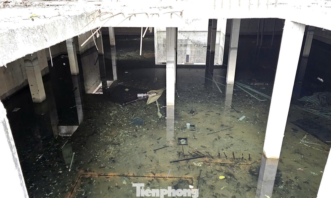 Cảnh bỏ hoang tại dự án biệt thự, liền kề từng ‘xây chui, bán sai’ - Ảnh 7