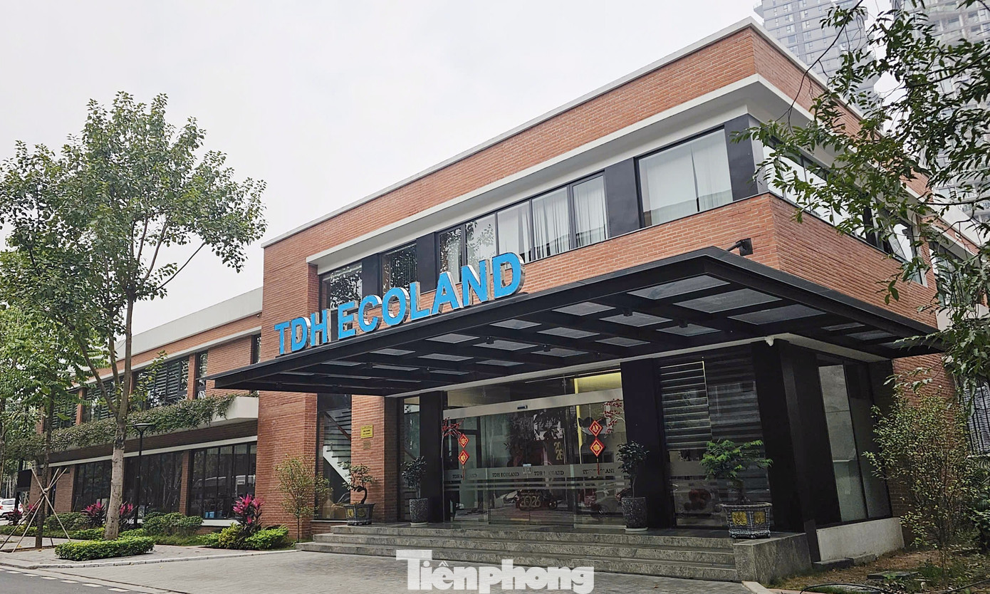 Cảnh bỏ hoang tại dự án biệt thự, liền kề từng ‘xây chui, bán sai’ - Ảnh 3