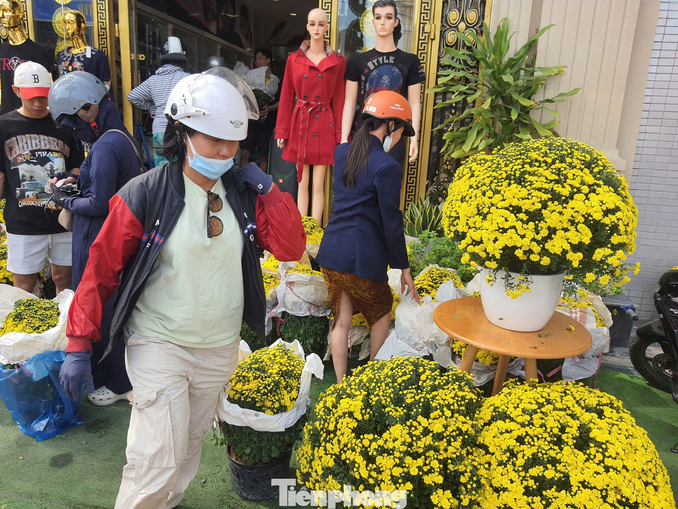 Hoa cúc bán Tết nở sớm bị thương lái ép giá, người dân vào cuộc hỗ trợ - Ảnh 3