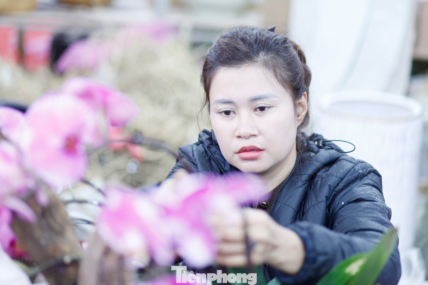 'Hái ra tiền' nghề cắm hoa Tết, cao điểm thu 4-5 triệu đồng/ngày - Ảnh 2