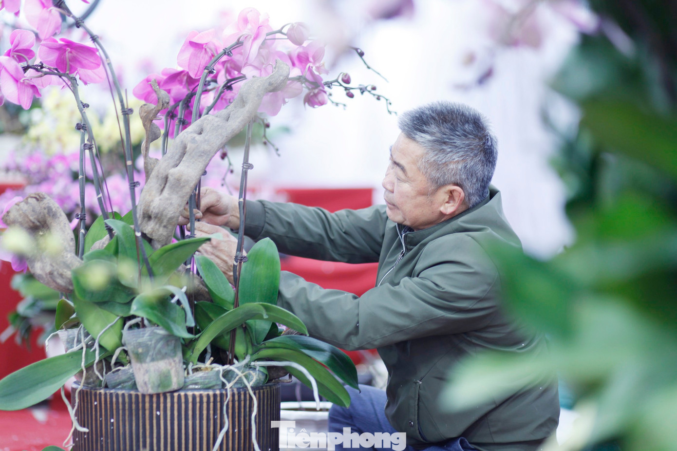 'Hái ra tiền' nghề cắm hoa Tết, cao điểm thu 4-5 triệu đồng/ngày - Ảnh 6
